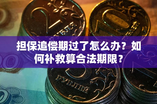 济南担保追偿期过了怎么办？如何补救算合法期限？