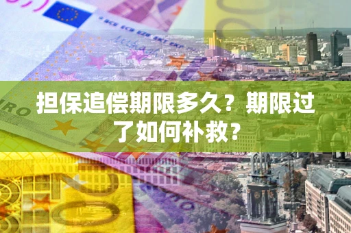 济南担保追偿期限多久？期限过了如何补救？