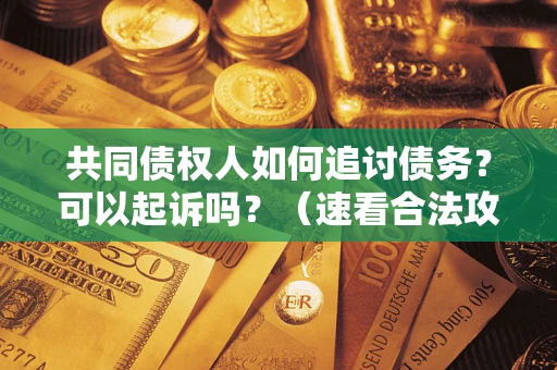 济南共同债权人如何追讨债务？可以起诉吗？（速看合法攻略）
